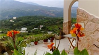 Aloe Villa Chania Crete 3 *