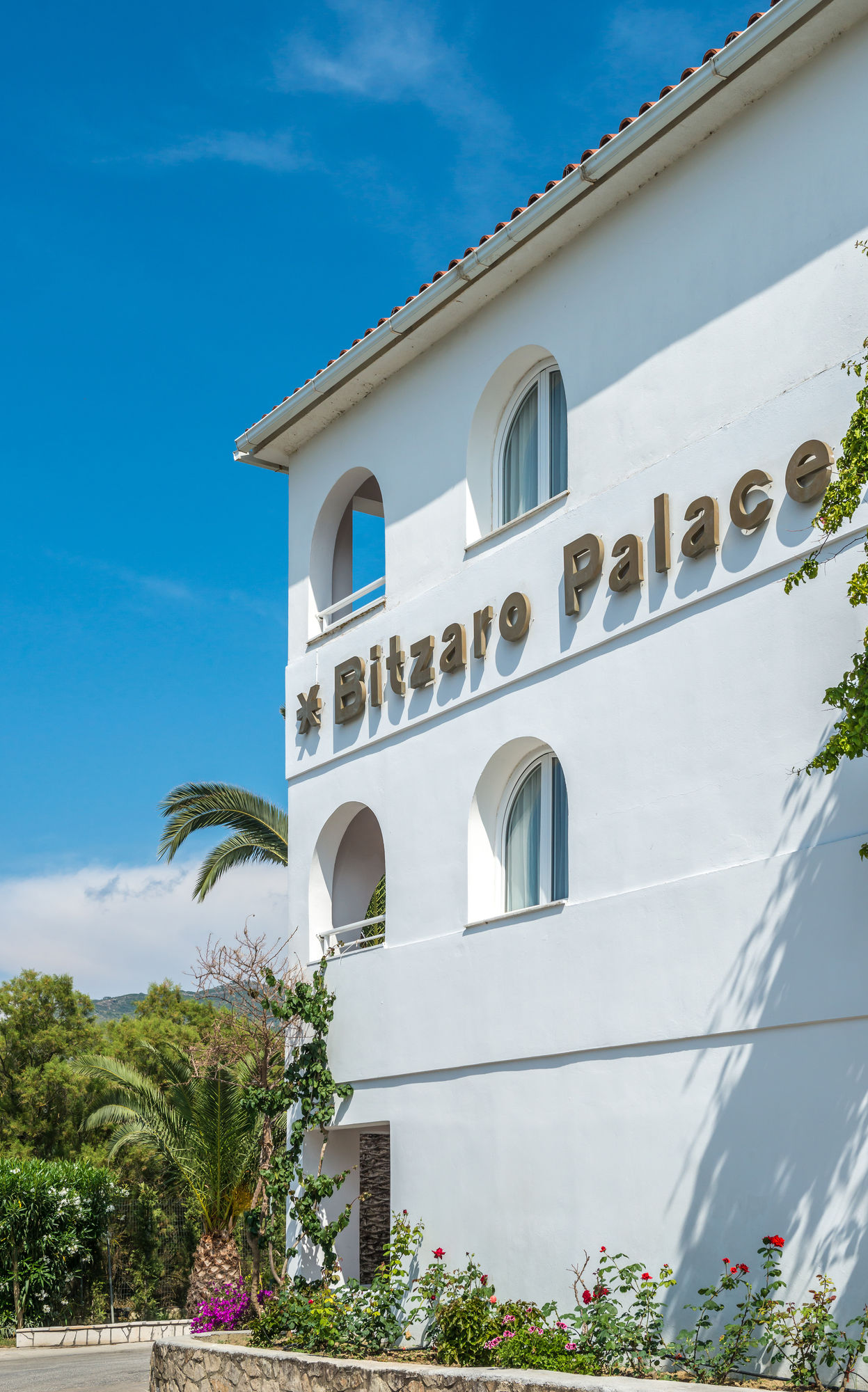 Bitzaro Palace Hotel 3 *